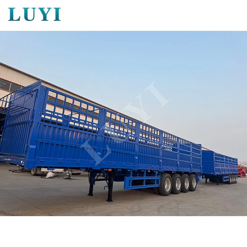 product-800-800